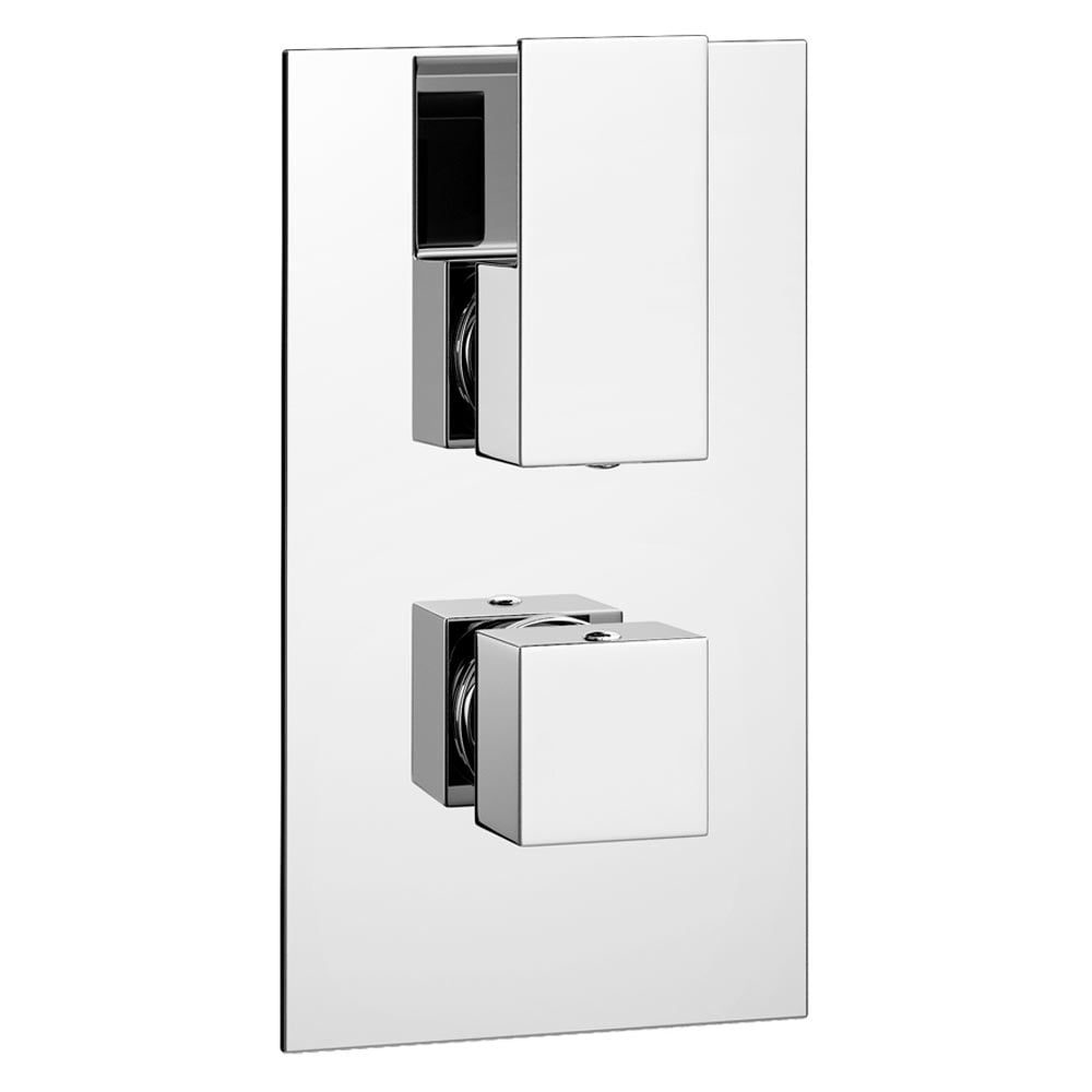 Element concealed thermostatic shower valve