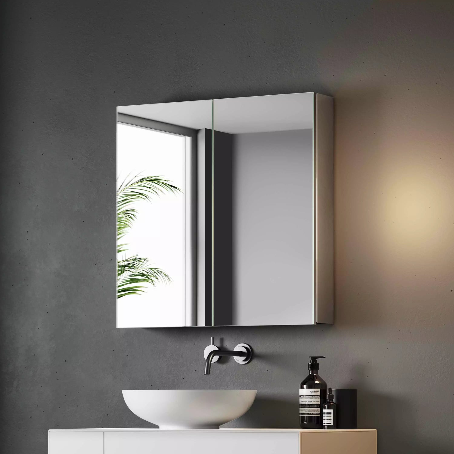 Mirror Cabinets