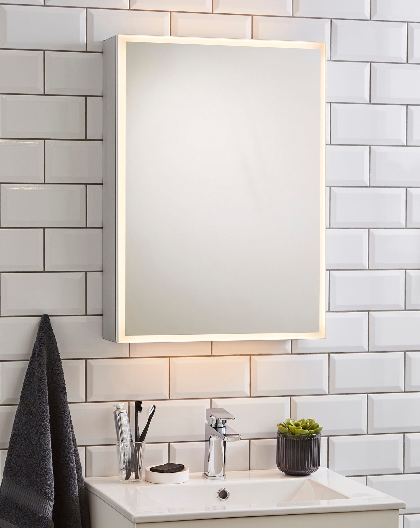 Echo 500x700mm Mirror Cabinet