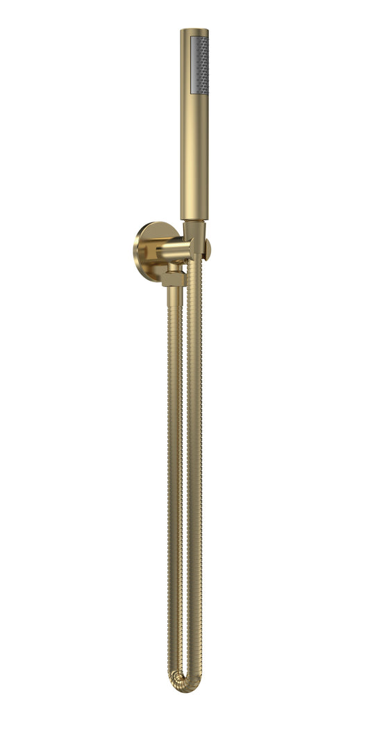 Shower Accessories Outlet Elbow, Parking Bracket, Flex and Handset Brushed Brass
