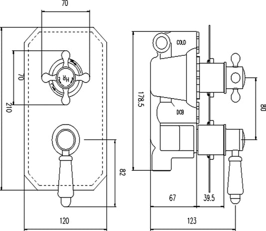 Black Topaz Twin Concealed Shower Valve